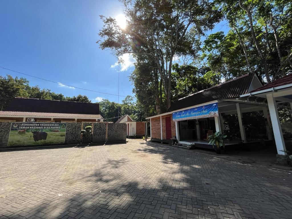 Capital O 92612 Penginapan D'Alas Purwo & Beachnearpadang Savana Sadengan Баньюванги Экстерьер фото