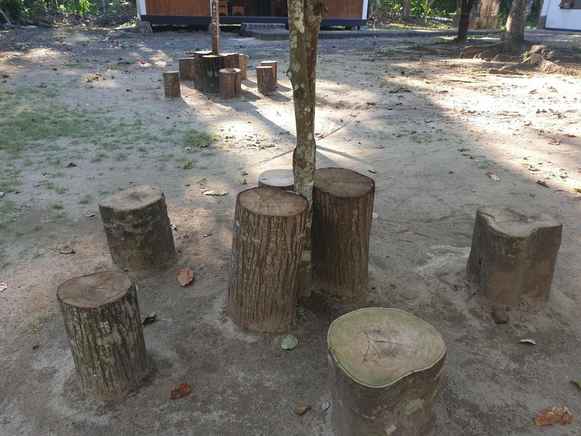 Capital O 92612 Penginapan D'Alas Purwo & Beachnearpadang Savana Sadengan Баньюванги Экстерьер фото