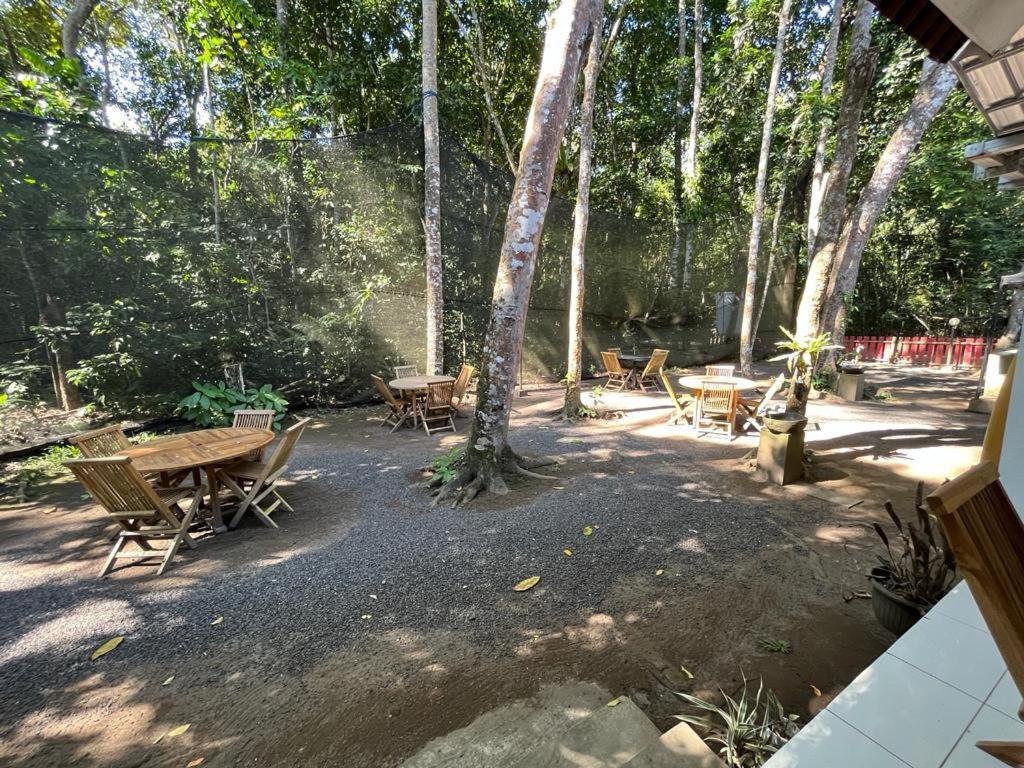 Capital O 92612 Penginapan D'Alas Purwo & Beachnearpadang Savana Sadengan Баньюванги Экстерьер фото